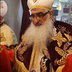 Fr. David Bebawy Hosanna in the Highest - Palm Sunday 2024