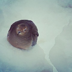 2.17.2023 - 2:17:23, 7.16 PM