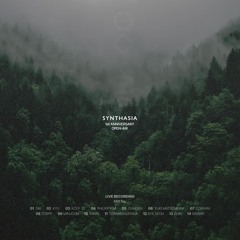 Synthasia 1st Anniversary Open Air 2025 - Live Recording