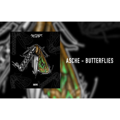 Asche - Butterflies