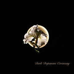 Dark Dopamine Ceremony