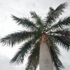 Ijaz Ufaq _ Da Janan Khyal Me Zangawi _ Pashto Ghazal _ Thinking Big Official.mp3