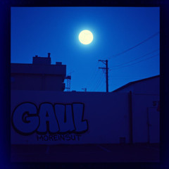 Moonlit Riot
