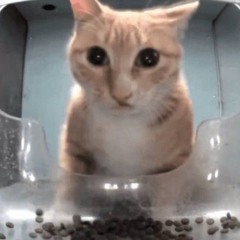 VIRUS! - FNF Arrow Funk Epic Birthday Remaster (Composed by yoisabo & BeastlyChip)