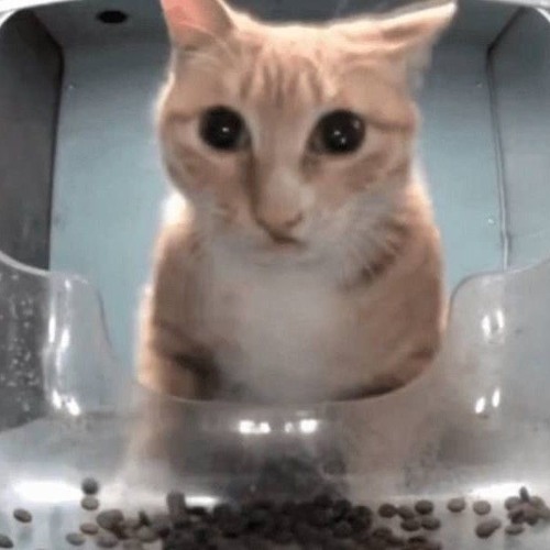 VIRUS! - FNF Arrow Funk Epic Birthday Remaster (Composed by yoisabo & BeastlyChip)