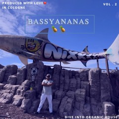 BassyAnanas 🍍🍍 Vol. 2