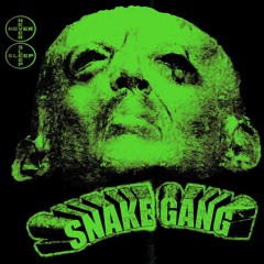 1 SNAKE GANG - SUICIDE FRIDAY