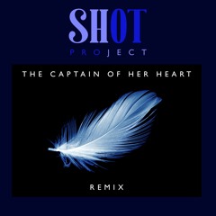 The Captain Of Her Heart - Remix