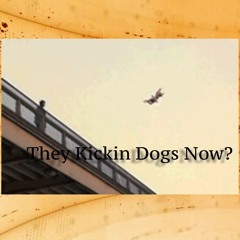 They Kickin Dogs Now?