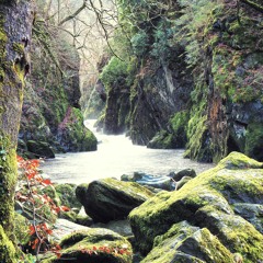 Je serais la ft. eSoreni - solidbunny