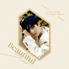 Lee Eunsang - Beautiful Scar (nomad remix)