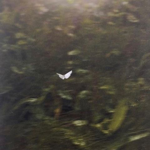 yêu người có ước mơ