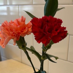 We Did It (feat.Samisfucked)