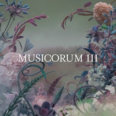 Musicorum III