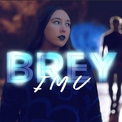 IMU