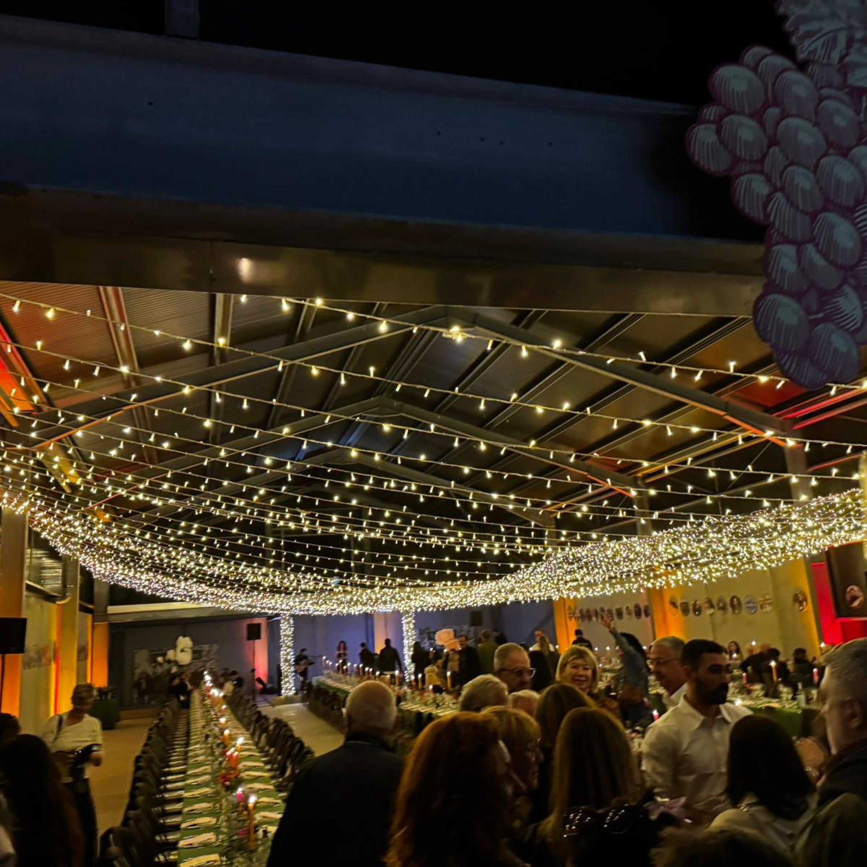 Les podcasts de RadioVino, vin naturel et gastronomie