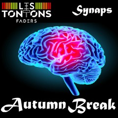 Synaps - Autumn Break