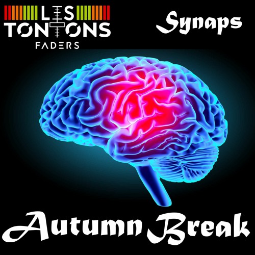 Synaps - Autumn Break