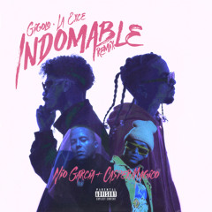 Indomable (Remix)