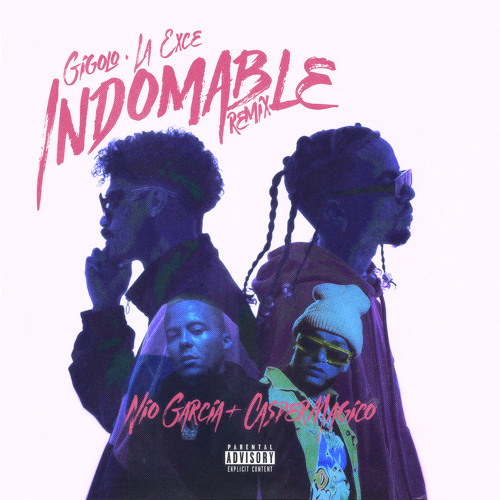 Indomable (Remix)