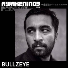 Awakenings Podcast S319 - Bullzeye