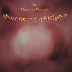 Glimmers of Night
