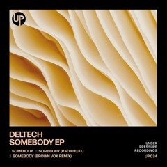 Deltech - Somebody (Radio Edit)[Under Pressure]