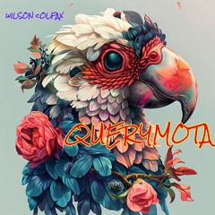 Querymota