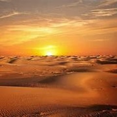 (Dj Jhalid Vargas Vip Remix) - Desert Rain Hard (Free Download)