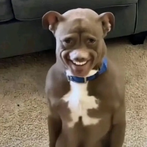 what r we posed to b(kannibalremix)ft pinkblxxd