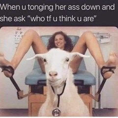 Link Sinatra - PAY FOR THIS BEAT