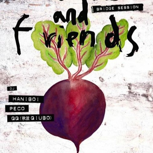 beats and friends ▮bridge session  -  peco