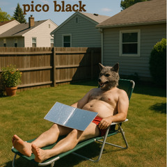Ode an Piccolo
