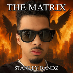 The Matrix (prod. rayoffkey x anx1ous x ashvs)