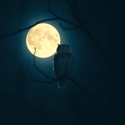 Moonlit Sanctuary
