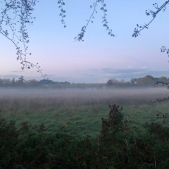 Sound for exhibitions at Norden Farm centre of the Arts