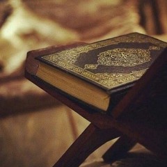 ما تيسر من سورة يوسف للشيخ عنتر مسلم