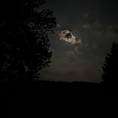 Run Through The Night