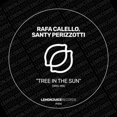 Rafa Calello, Santy Perizzotti - Tree In The Sun