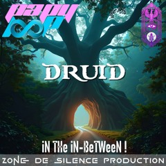DRuiD BZH - iN THe iN-BeTWeeN !