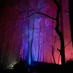 DieserChriZ - vom Märchen- in den Zauberwald 180er (Setcut)