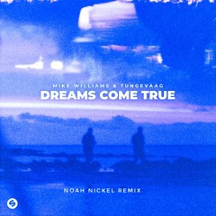 Mike Williams - Dreams Come True (Noah Nickel Remix)