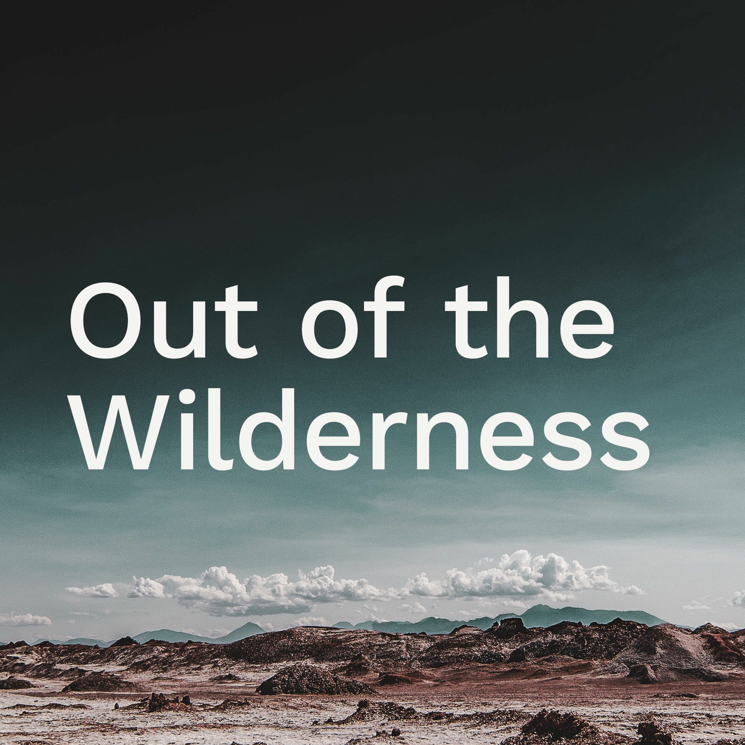 ’Out of the Wilderness’ / Neil Dawson