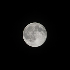 The Moon Above The Marsh