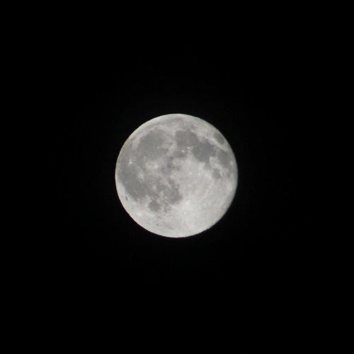 The Moon Above The Marsh