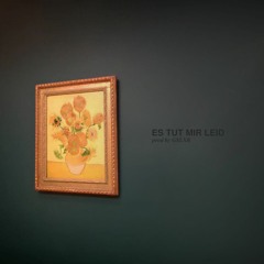 Es tut mir leid (prod. GSLXR)