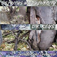 Detritus Wrought City