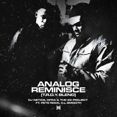 DJ NETICS - ANALOG REMINISCE (T.R.O.Y BLEND)