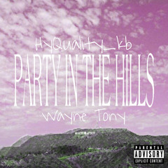 PARTY IN THE HILLS ( WAYNE X KB )