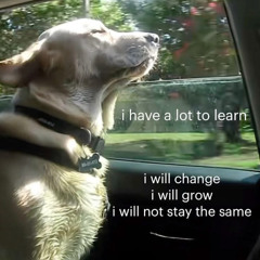 душевное состояние - не плачь